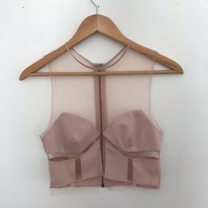 BCBGMaxAzria RUNWAY Sheer Pink Crop Top